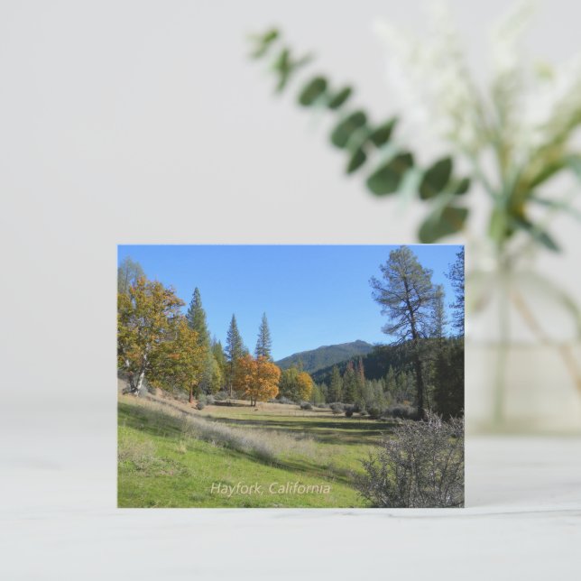 Schöne Aussicht auf das Tal.... Postkarte (Stehend Vorderseite)