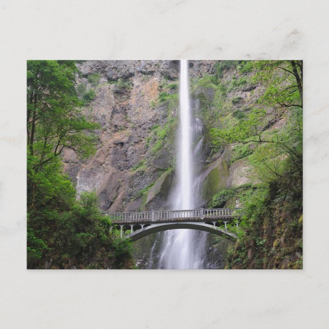 Schöne Aussicht auf die Multnomah Falls, Oregon Postkarte (Vorderseite)