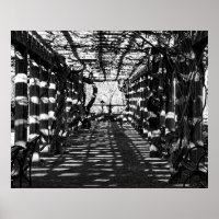 Schöne Aussicht im Central Park, NYC