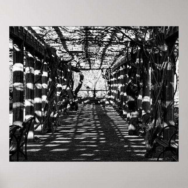 Schöne Aussicht im Central Park, NYC Poster (Vorne)