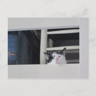 Schöne Aussicht Postkarte