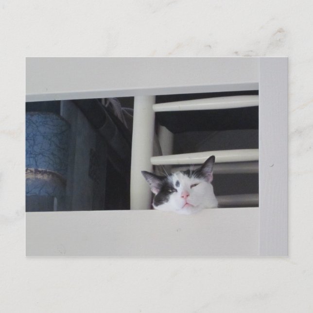 Schöne Aussicht Postkarte (Vorderseite)