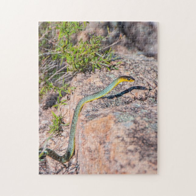 Schöne australische Green Tree Snake, 252 Stück Puzzle (Vertikal)