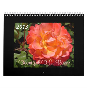 Schöne B.C. Rosen 2013 Kalender
