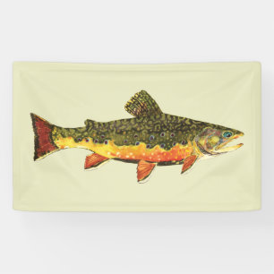 Schöne Bachforelle Banner