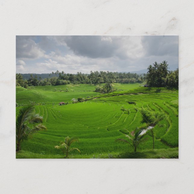 Schöne Bali Landschaft Postkarte (Vorderseite)