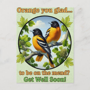 Schöne Baltimore Orioles Gute Besserung Postkarte