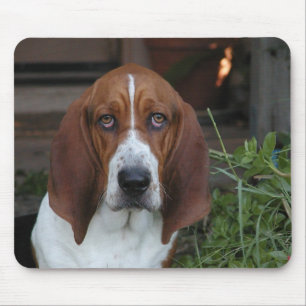 Schöne Basset Hound-Mausunterlage Mousepad