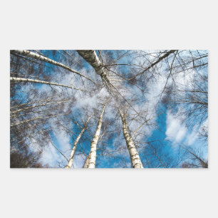 Schöne Bäume auf dem Weg zum Sky Sticker