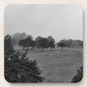 Schöne Bäume und Natur im Nebel Getränkeuntersetzer