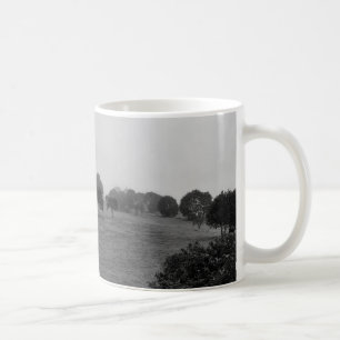 Schöne Bäume und Natur im Nebel Kaffeetasse