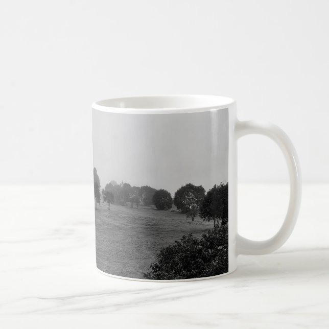 Schöne Bäume und Natur im Nebel Kaffeetasse (Rechts)