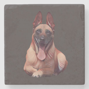 Schöne bemalte belgische Malinois-Marmor-Unterlage Steinuntersetzer