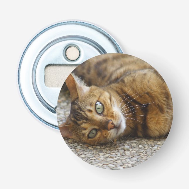 Schöne Bengalische Katze Flaschenöffner (Vorderseite)