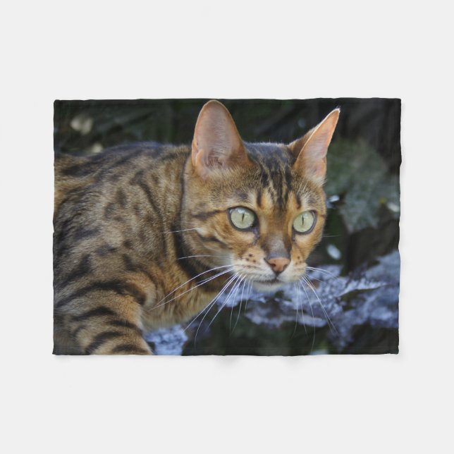 Schöne Bengalische Katze Fleecedecke (Vorderseite (Horizontal))