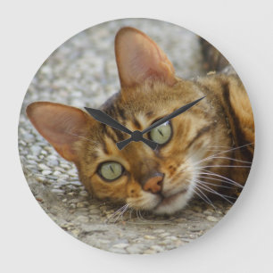 Schöne Bengalische Katze Große Wanduhr