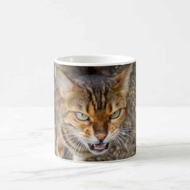 Schöne Bengalische Katze Kaffeetasse (Mittel)