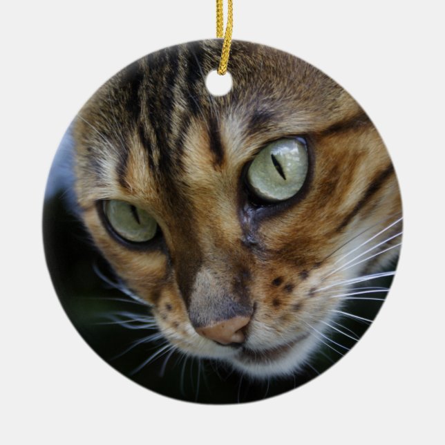 Schöne Bengalische Katze Keramik Ornament (Vorne)