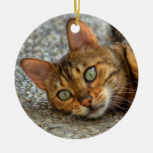 Schöne Bengalische Katze Keramikornament