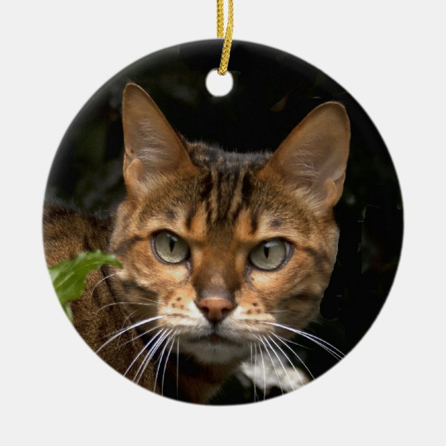 Schöne Bengalische Katze Keramikornament (Vorne)