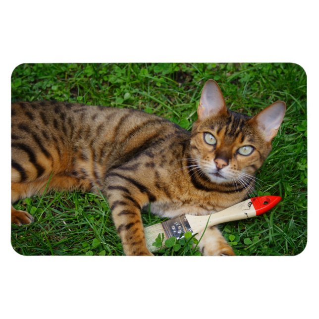 Schöne Bengalische Katze Magnet (Horizontal)