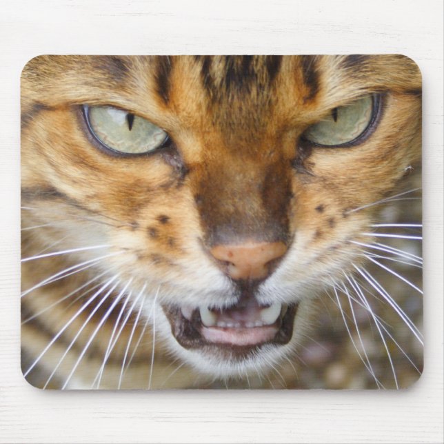 Schöne Bengalische Katze Mousepad (Vorne)