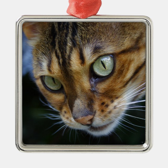 Schöne Bengalische Katze Ornament Aus Metall (Vorne)