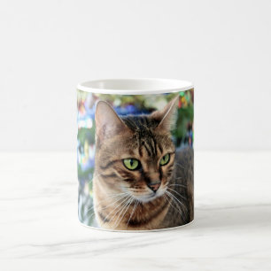 Schöne bengalische Katzen-weiße klassische weiß Kaffeetasse