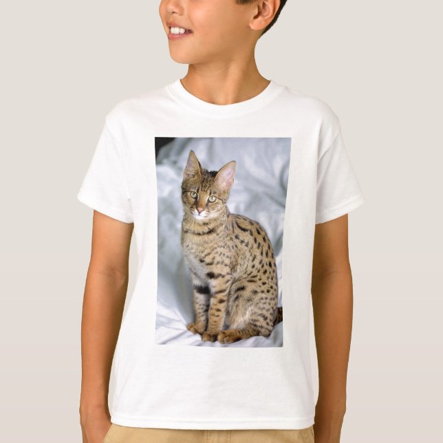 Schöne Bengalische Niedliche Katzenwand T-Shirt (Vorderseite)
