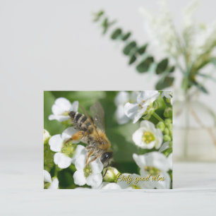 Schöne Biene auf weißen Blumen Feiertagspostkarte