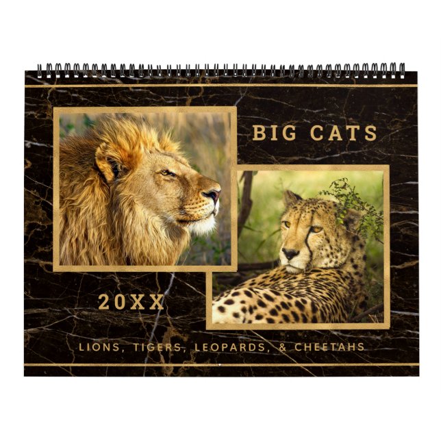 Schöne Big Cats Fotokalender Kalender (Titelbild)