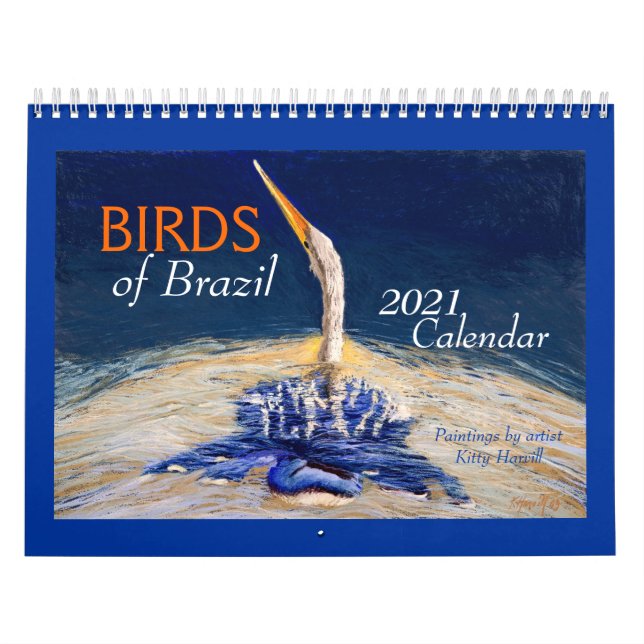 Schöne "BIRDS of Brazil" 2021 Kalender (Titelbild)