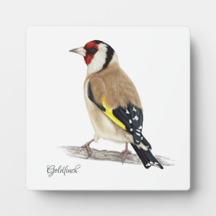 Schöne Birds Plaque Fotoplatte