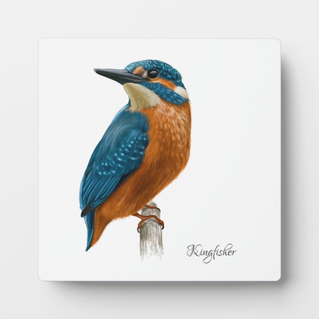 Schöne Birds Plaque Fotoplatte (Vorderseite)