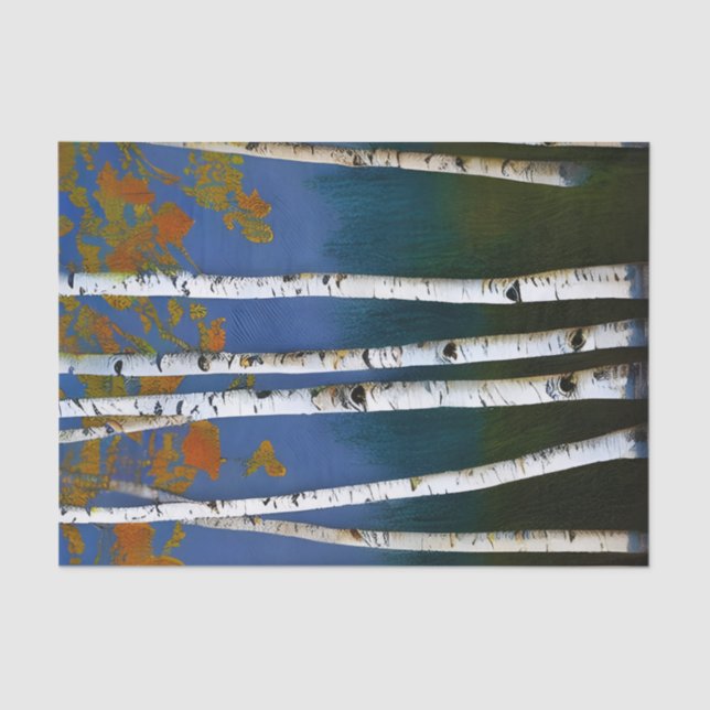 Schöne Birke im Herbst Seidenpapier (Vorderseite)