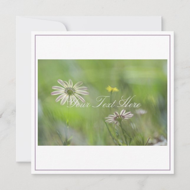 Schöne, blassviolette Blüten - Ihre Text-Flachkart (Vorderseite)
