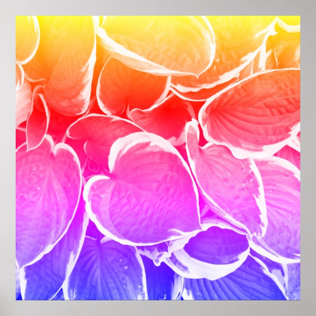 Schöne Blätter Kunst Poster (Vorne)