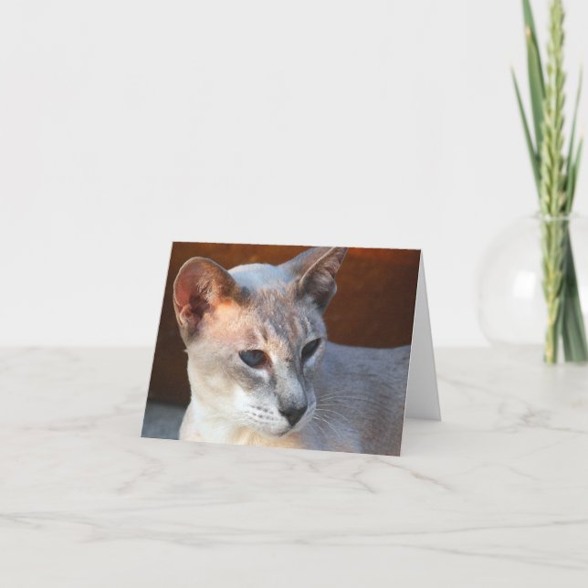 Schöne blaue Augen Karte (Vorderseite)