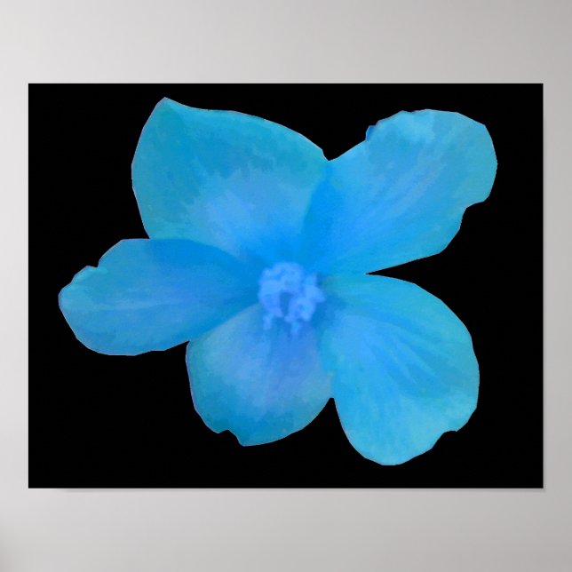 Schöne blaue Begonien-Blumenprint Poster (Vorne)