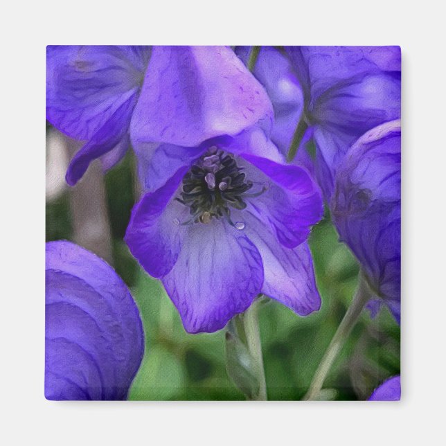 Schöne blaue Delphinias Magnet (Vorne)