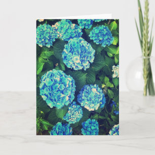 Schöne blaue Hydrangea-Raum-Gruß-Karte Karte