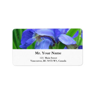 schöne blaue Iris-Blume Adressaufkleber