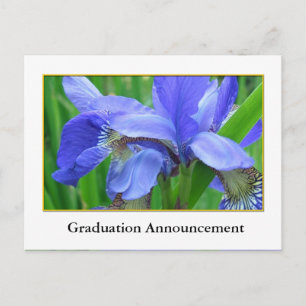 Schöne blaue Iris-Blumen-Abschlussankündigung Ankündigungspostkarte