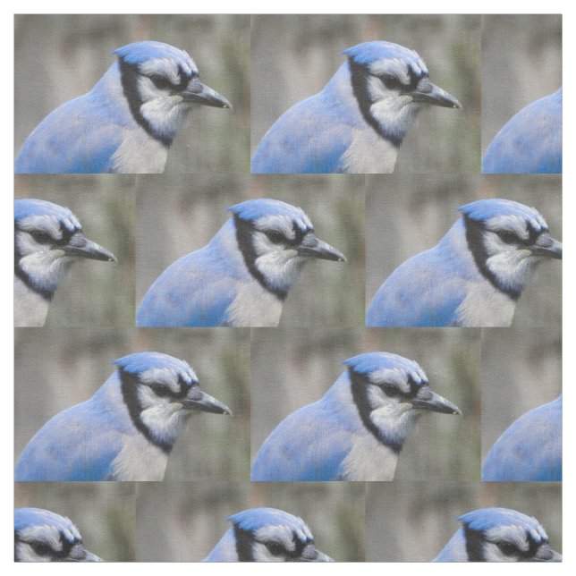 Schöne blaue Jay-Nahaufnahme Stoff (Muster)