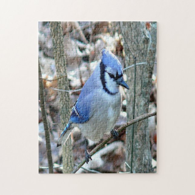 Schöne blaue Jay Puzzle (Vertikal)