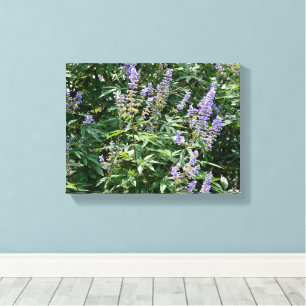 Schöne Blaue Keuschbaum-Blüten Leinwanddruck