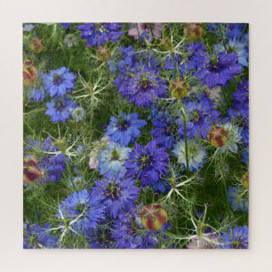 Schöne blaue Kornblumen Puzzle