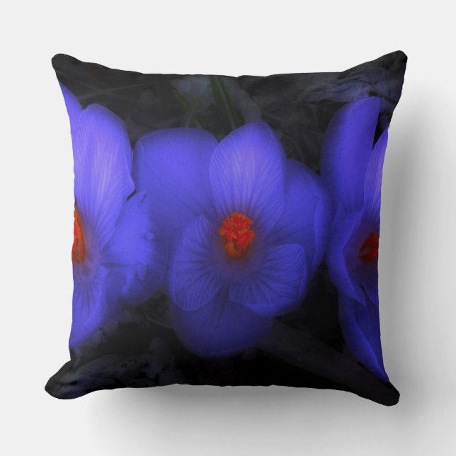 Schöne blaue Lila Crocus Blooms Kissen (Vorderseite)