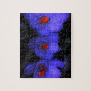 Schöne blaue Lila Crocus Blooms Puzzle
