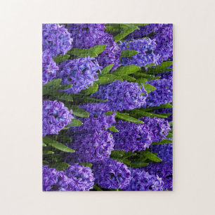 Schöne blaue/Lila Hyazinthen Puzzle